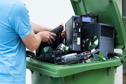Garden assessment and debris removal